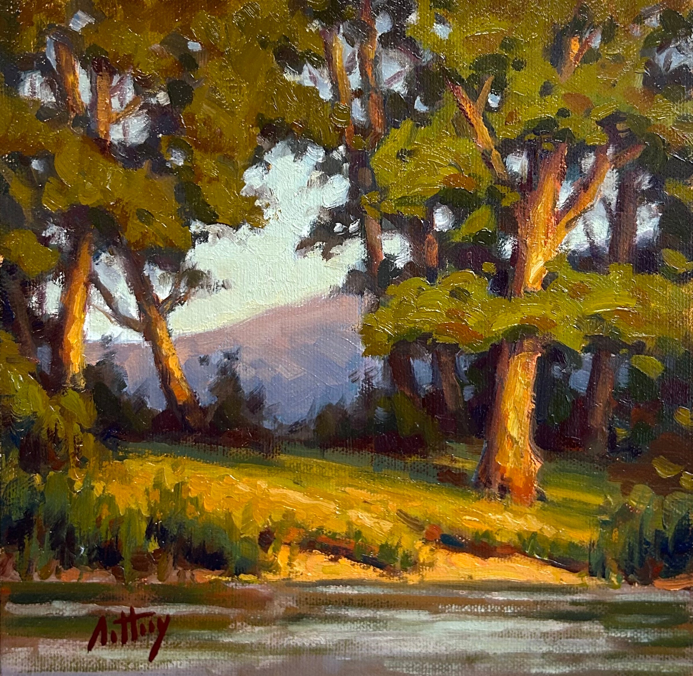 Original Oil Paintings